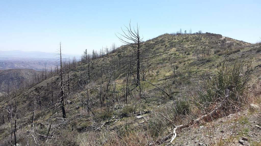 Gobblers Knob Yellow Post Sites | 3000 Lytle Creek Rd, Lytle Creek, CA 92358, USA | Phone: (909) 382-2851