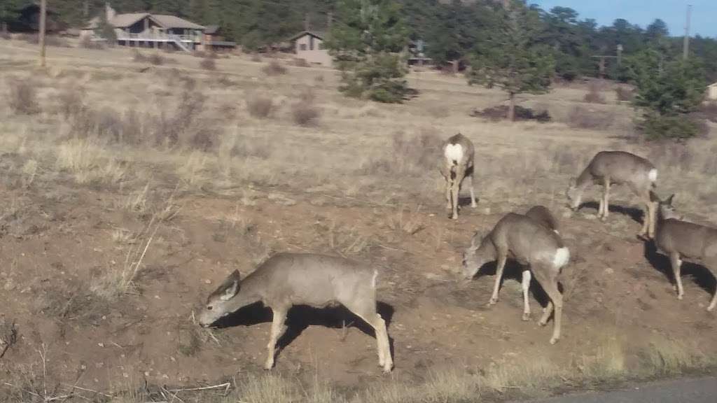 Backcountry Permit Office | Mills Dr, Estes Park, CO 80517, USA | Phone: (970) 586-1242