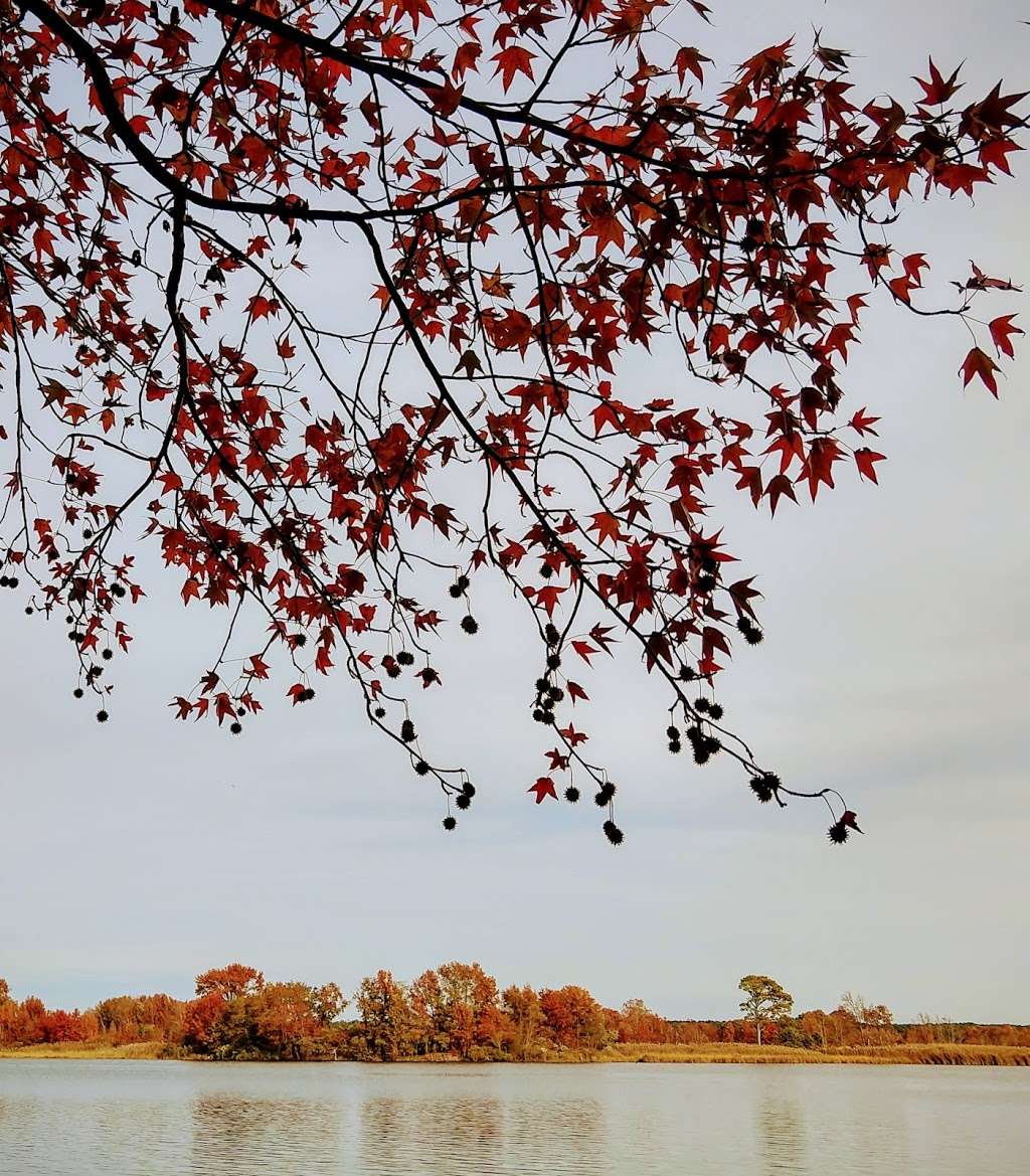 Marsh Edge Trail | 9, Church Creek, MD 21613, USA