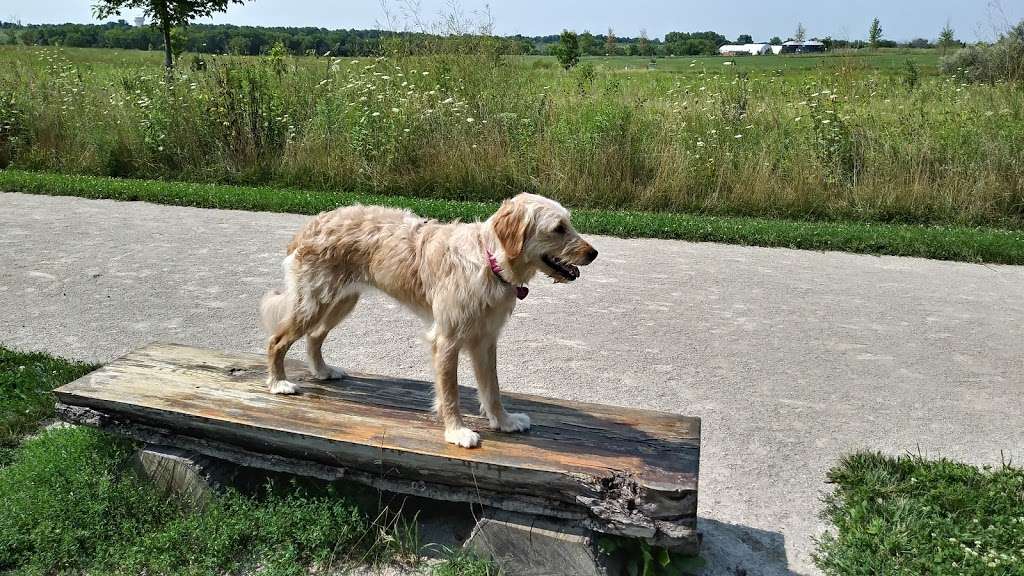 Hawk Hollow Dog Park | 1099 Bittersweet Dr, Bartlett, IL 60103, USA