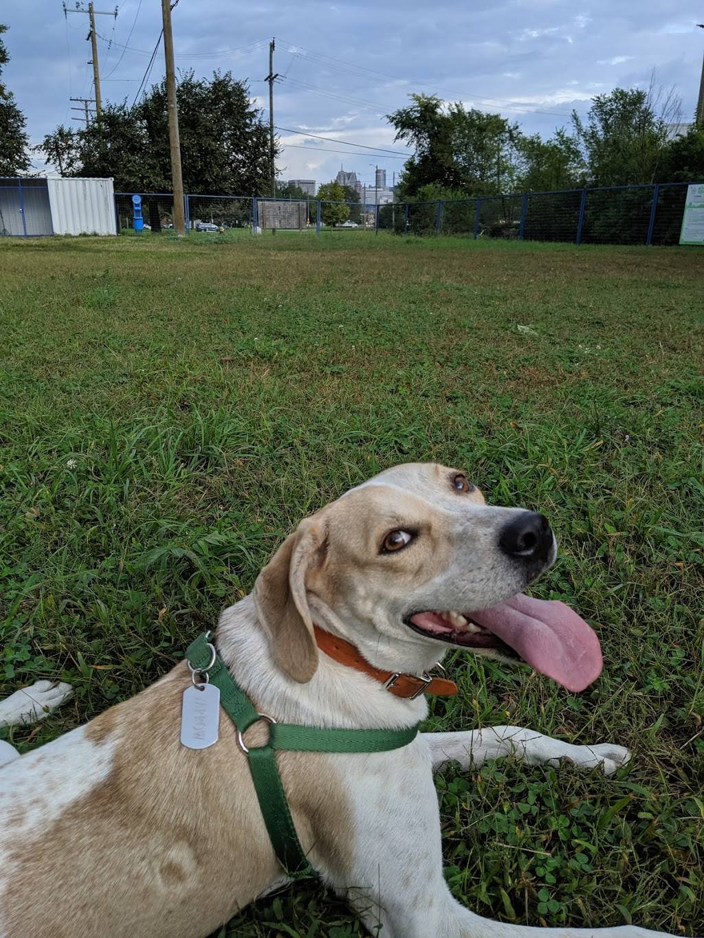 Detroit Dog Park | 2699 Rose St, Detroit, MI 48216, USA | Phone: (313) 224-1129