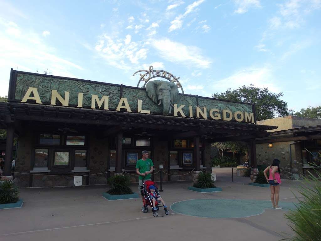 Animal Kingdom | Bay Lake, FL 34747, USA