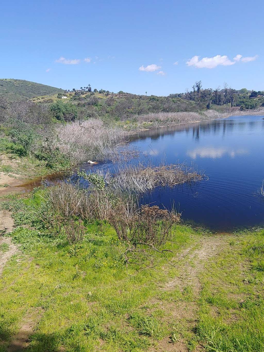 Abeja Pond | Vista, CA 92084, USA