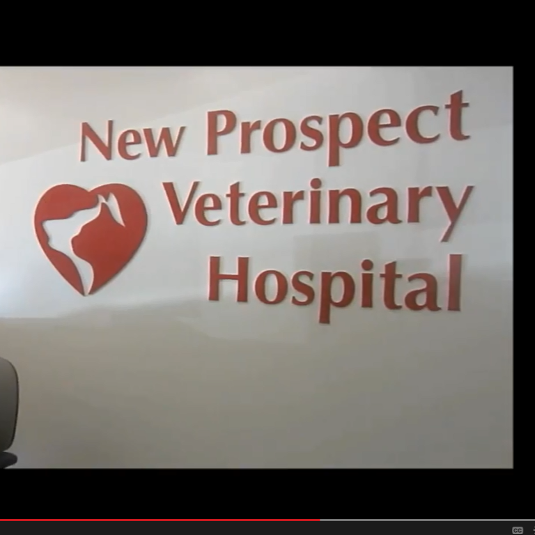 New Prospect Veterinary Hospital | 165 S New Prospect Rd, Jackson, NJ 08527, USA | Phone: (732) 363-4500