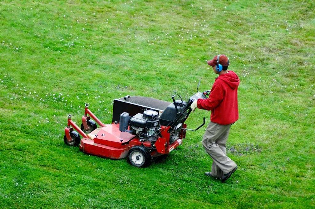 LD Lawncare | 4126 Glacier Pl, Quartz Hill, CA 93536, USA | Phone: (661) 674-9774