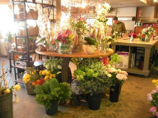 Earth Garden | 7 Sharp Hill Rd, Wilton, CT 06897 | Phone: (203) 761-4992