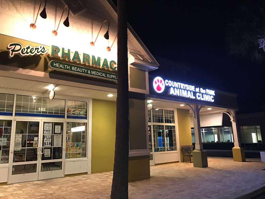 peters pharmacy | 1431 Orange Camp Rd, DeLand, FL 32724, USA | Phone: (386) 734-8477