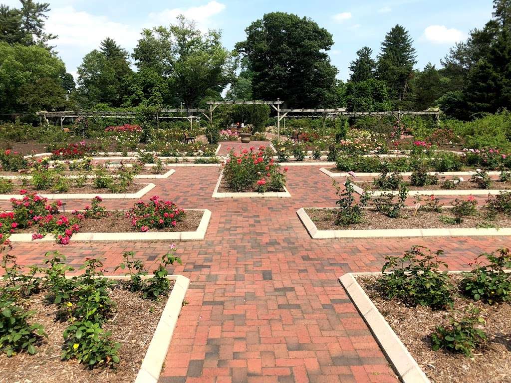 Rudolf W. van der Goot Rose Garden | 156 Mettlers Rd, Somerset, NJ 08873 | Phone: (732) 873-2459