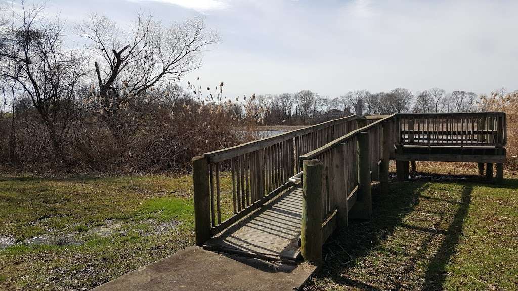 Mannington Marsh Wildlife Refuge Observation Tower | Salem Woodstown Rd, Mannington Township, NJ 08079