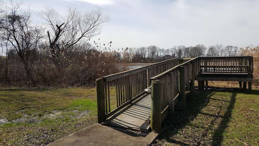 Mannington Marsh Wildlife Refuge Observation Tower | Salem Woodstown Rd, Mannington Township, NJ 08079, USA