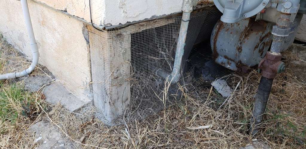 RED E Pest Prevention | 1469 Swift Ln, El Cajon, CA 92020, USA | Phone: (760) 681-6026
