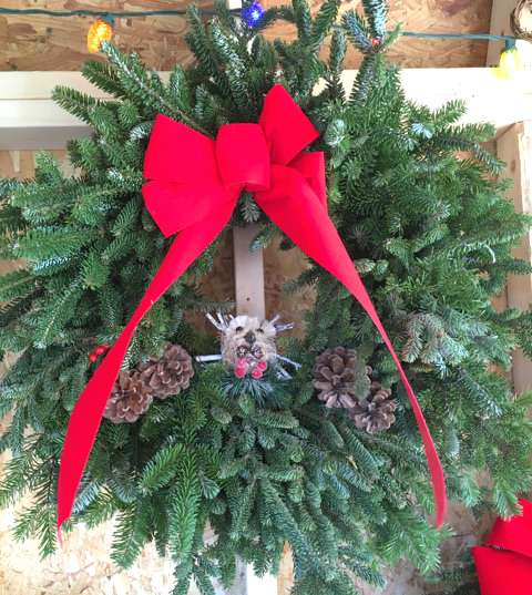 Bloomsburg Christmas Tree Farm | 198 Mainville Dr, Bloomsburg, PA 17815, USA | Phone: (570) 759-8881