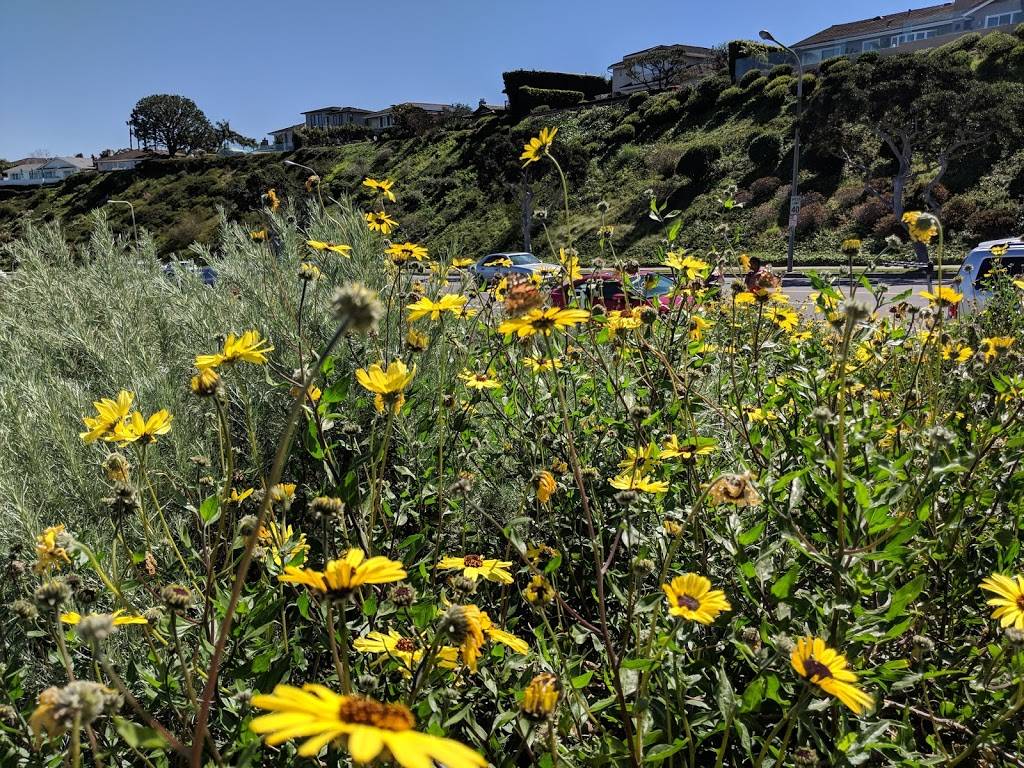 Upper Newport Bay Nature Preserve | 2301 University Dr, Newport Beach, CA 92660, USA | Phone: (949) 923-2290