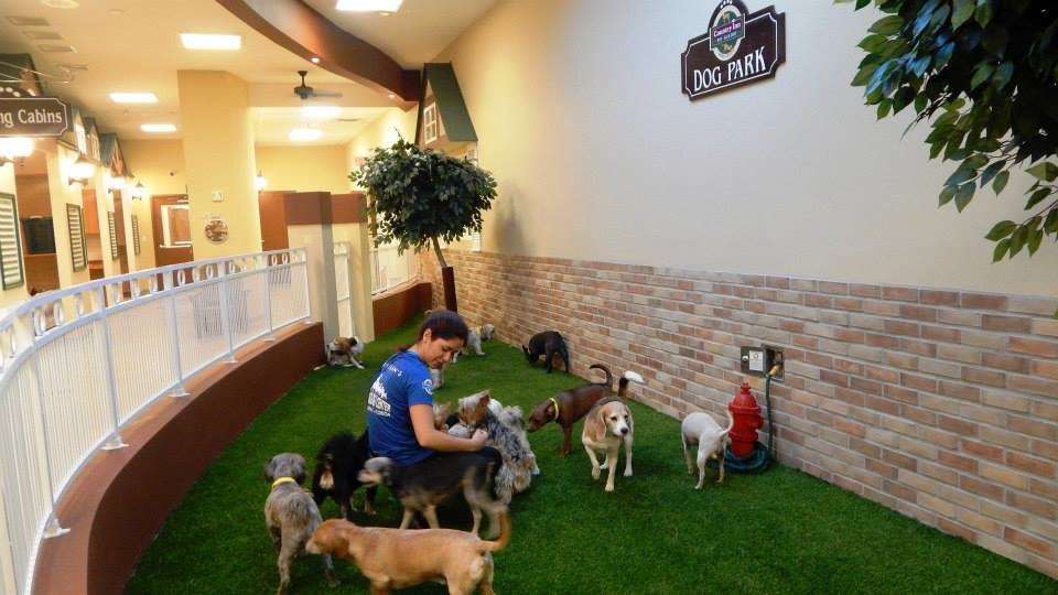 Country Inn Pet Resort & Animal Hospital | 2100 S Flamingo Rd, Fort Lauderdale, FL 33325, USA | Phone: (954) 424-6000