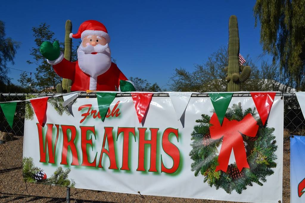 Valley View Christmas Trees | 2240 W Chandler Blvd, Chandler, AZ 85244, USA | Phone: (480) 318-7960