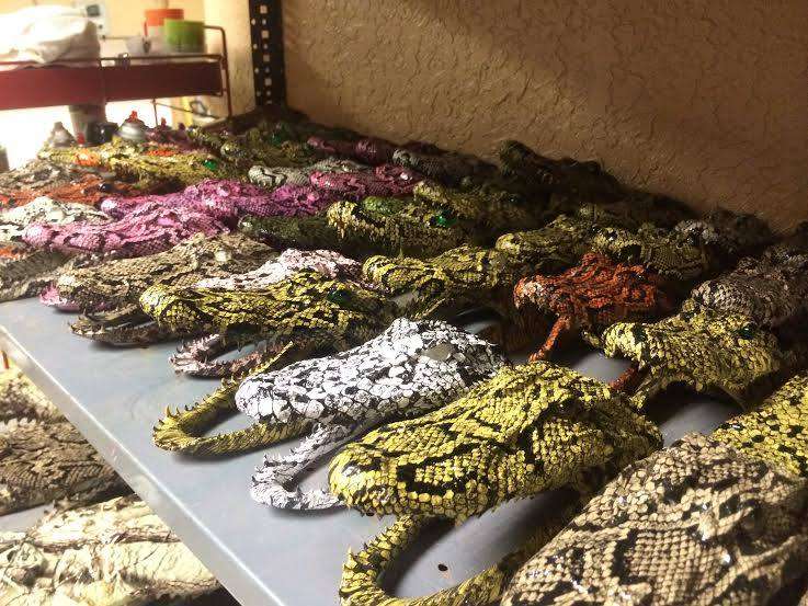 Shaynes Gators | 4835 Co Rd 151, Wildwood, FL 34785, USA | Phone: (352) 748-4142