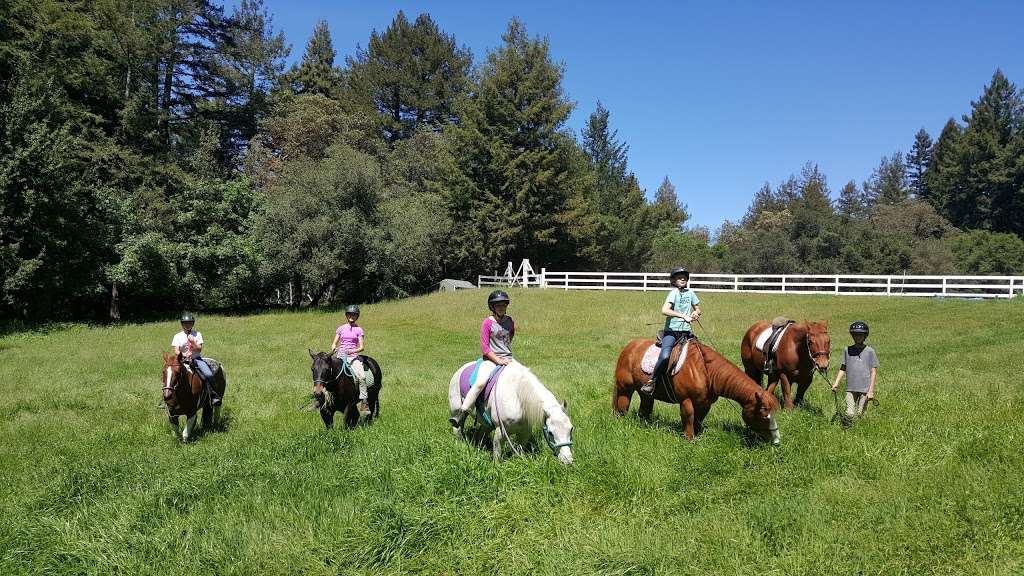 Fox Equine Rescue & Youth Horsemanship Center | 24705 Miller Hill Rd, Los Gatos, CA 95033 | Phone: (408) 718-7006