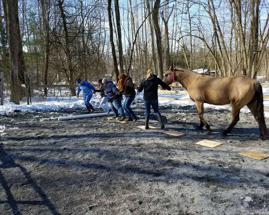 Take Heart Counseling And Equine Assisted Therapy | 4675 New Holland Rd, Mohnton, PA 19540, USA | Phone: (717) 917-7137