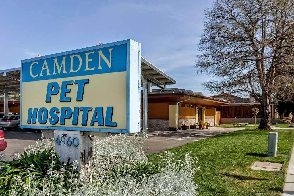 Camden Pet Hospital | 4960 Camden Ave, San Jose, CA 95124, USA | Phone: (408) 265-2200