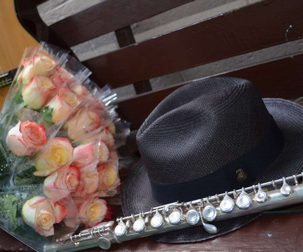 Genuine Panama Hats Showroom - Visits by Appointment Only | 201 Racquet Club Rd s405, Weston, FL 33326, USA | Phone: (954) 745-0490 Genuine Panama Hats Showroom - Visits by Appointment Only | 201 Racquet Club Rd s405, Weston, FL 33326, USA | Phone: (954) 745-0490