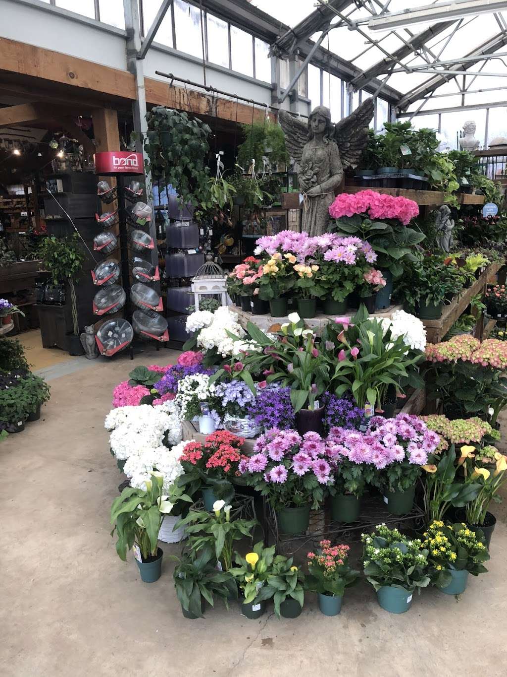 D.R. Snell Nursery & Garden Center | 1025 Ridge Rd, Mt Airy, MD 21771 | Phone: (301) 831-7777