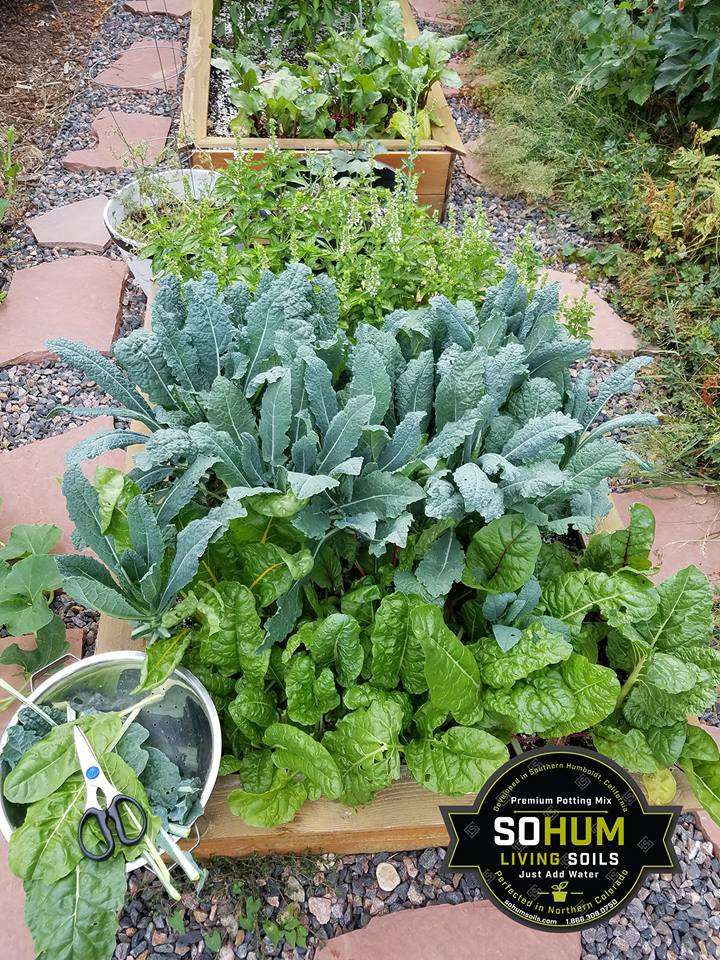 SoHum Living Soils | 5690 Logan St a, Denver, CO 80216, USA | Phone: (866) 308-0750