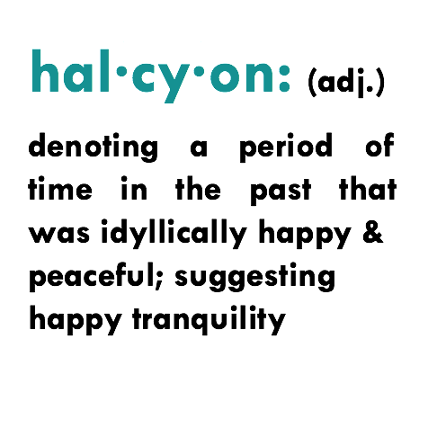 Halcyon Health & Wellness, LLC | 717 Route 9W S, Nyack, NY 10960, USA | Phone: (845) 580-4747
