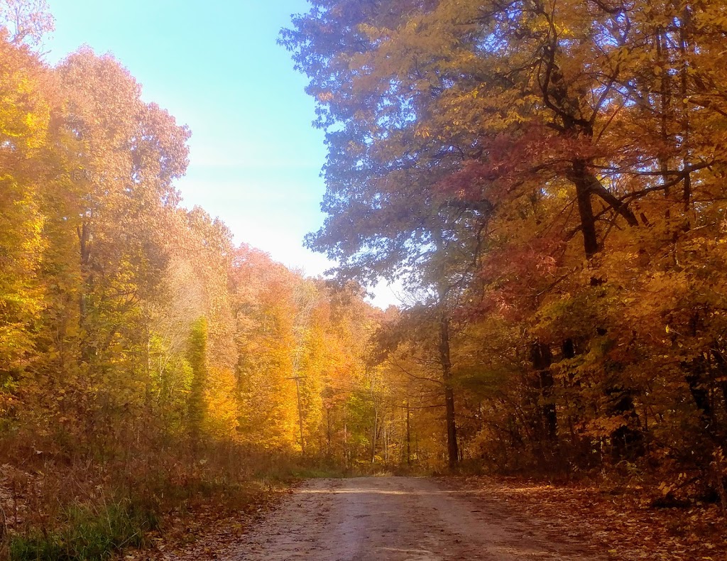 Morgan-Monroe State Forest | Martinsville, IN 46151, USA | Phone: (765) 342-4026