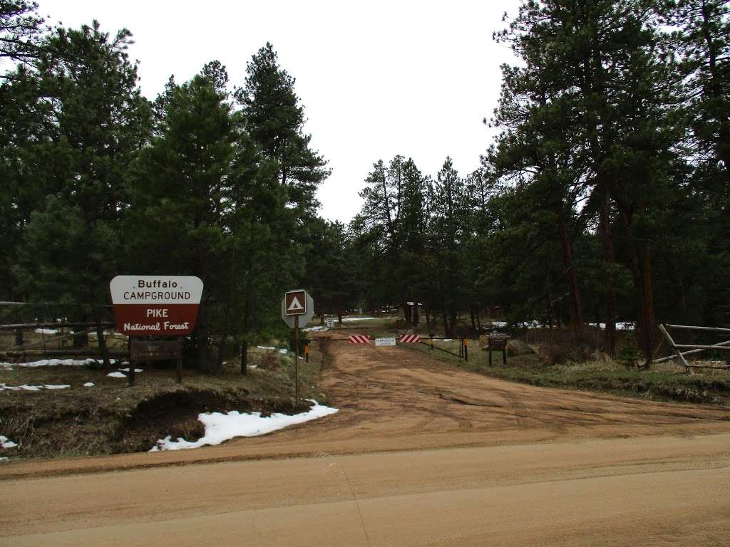 Buffalo Campground | Forest Rd 550, Pine, CO 80470, USA | Phone: (303) 275-5610