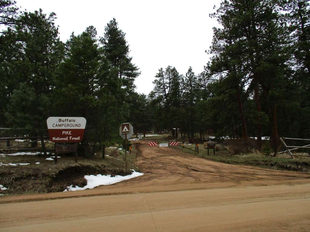 Buffalo Campground | Forest Rd 550, Pine, CO 80470 | Phone: (303) 275-5610