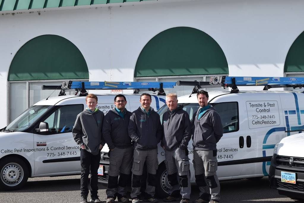 Celtic Pest Inspections and Control Services Inc. | 2900 Vassar Street, Ste CC26, Reno, NV 89502, USA | Phone: (775) 348-7445