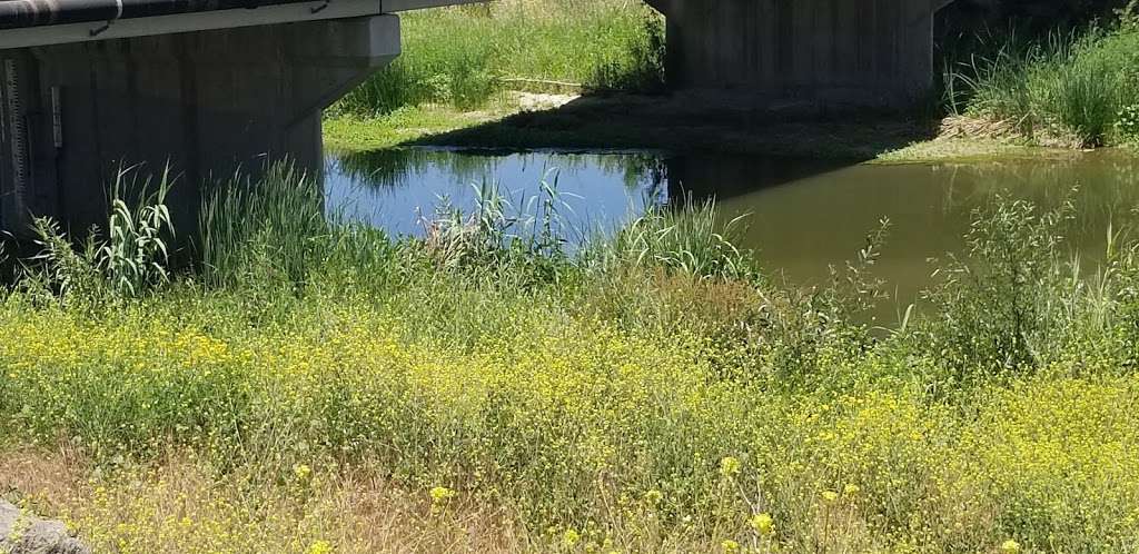 CSU Channel Islands Regional Park | Old Dairy Rd, Camarillo, CA 93012, USA