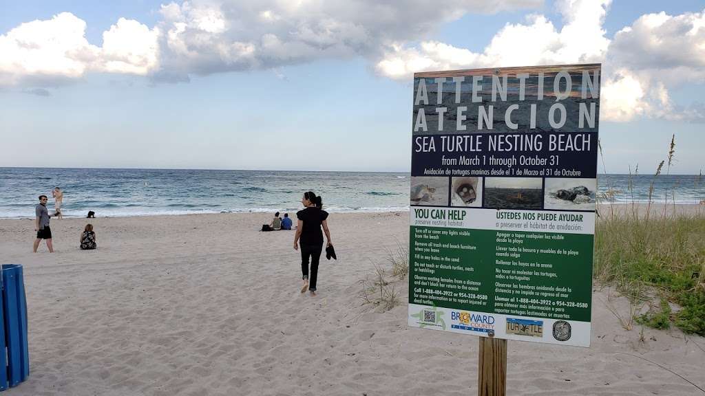 Turtle Nesting Area And Scuba Diving Zone | Lauderdale-By-The-Sea, FL 33308, USA