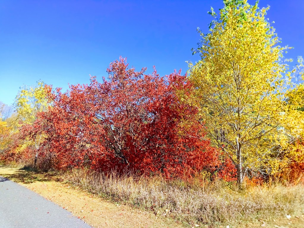 Emerald Pond Park | 6000 142nd Ave NW, Ramsey, MN 55303, USA | Phone: (763) 433-9853