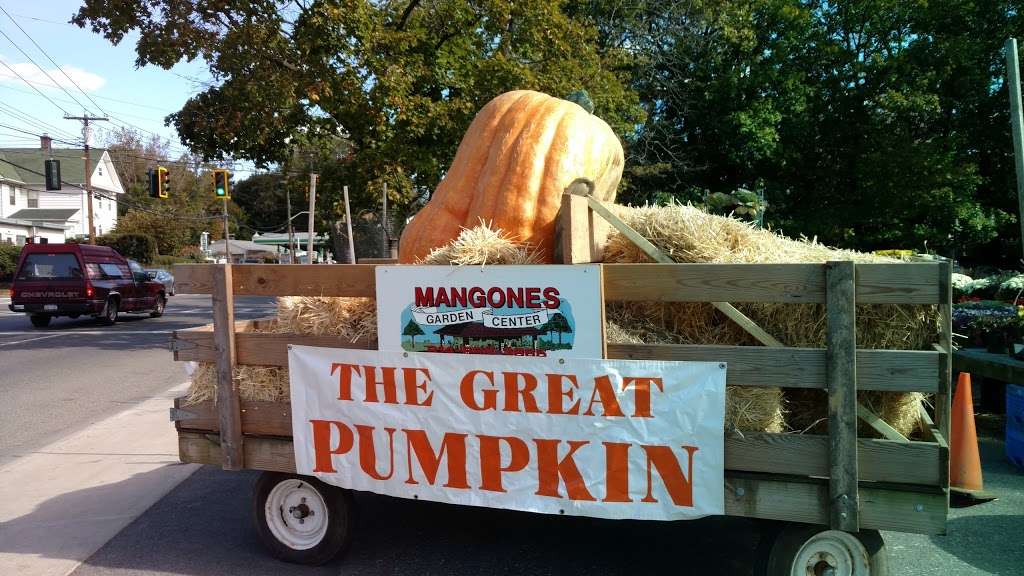 Mangones Farmers Market | 1427 E Boston Post Rd, Mamaroneck, NY 10543, USA | Phone: (914) 698-3865