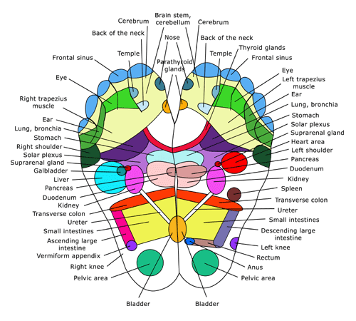 Sole Dancer Reflexology & Essential Oils | 445 Main St, Prince Frederick, MD 20678, USA | Phone: (240) 216-0686