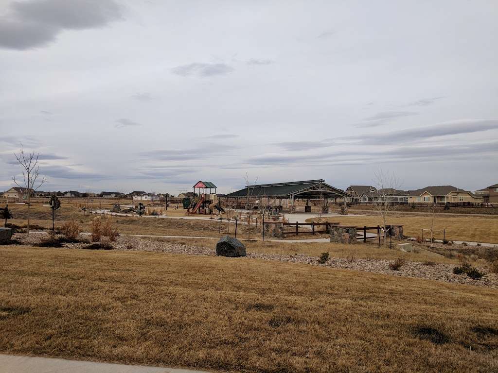 Pelican Park | Windsor, CO 80550, USA