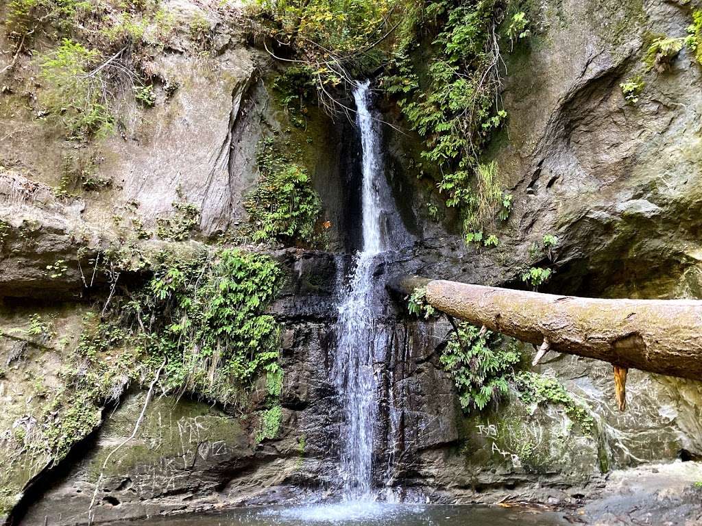 The Forest of Nisene Marks State Park | Aptos Creek Rd, Aptos, CA 95003 | Phone: (831) 763-7063