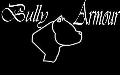 Bully Armour | 6667 Ash Lynn Way, San Bernardino, CA 92407 | Phone: (909) 913-3162