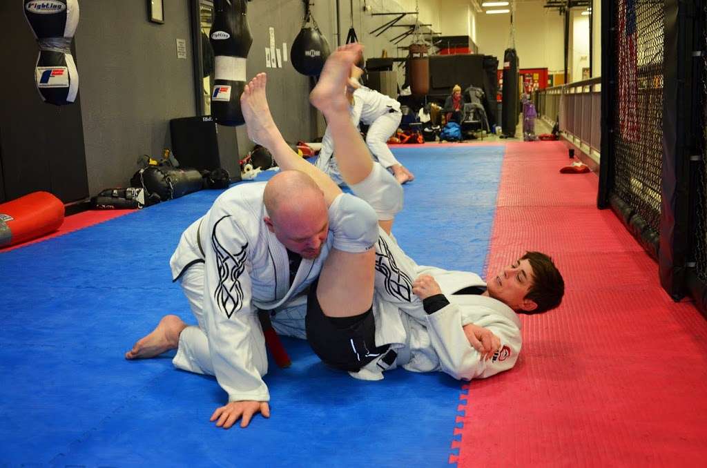 Black Tiger Martial Arts Academy | 1500 N Milwaukee Ave, Libertyville, IL 60048 | Phone: (847) 406-7079