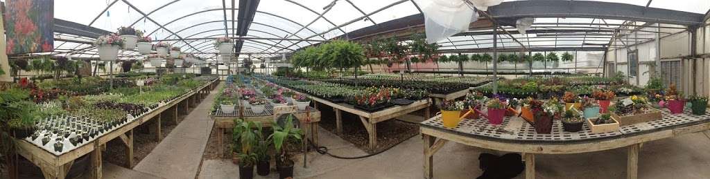 Davidson Greenhouse & Nursery Inc | 3147 E Ladoga Rd, Crawfordsville, IN 47933, USA | Phone: (765) 364-0556