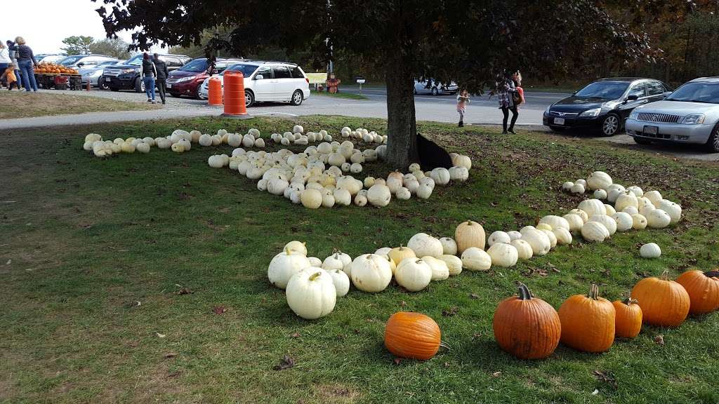 Marini Farm Corn Maze (Closed for Season) | 259 Linebrook Rd, Ipswich, MA 01938 | Phone: (978) 356-0430