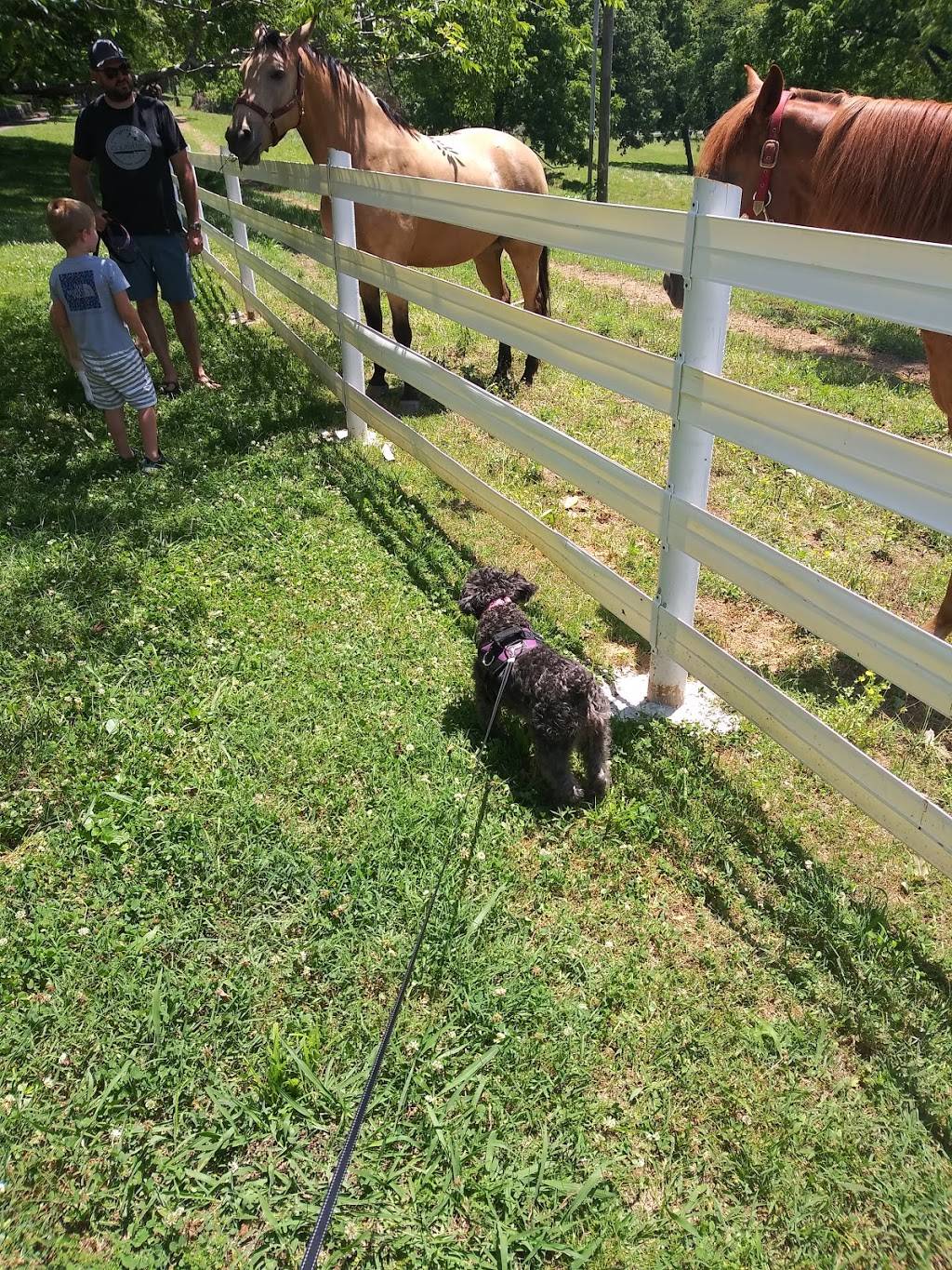 Tennessee Agricultural Museum | 404 Hogan Rd, Nashville, TN 37220, USA | Phone: (615) 837-5197