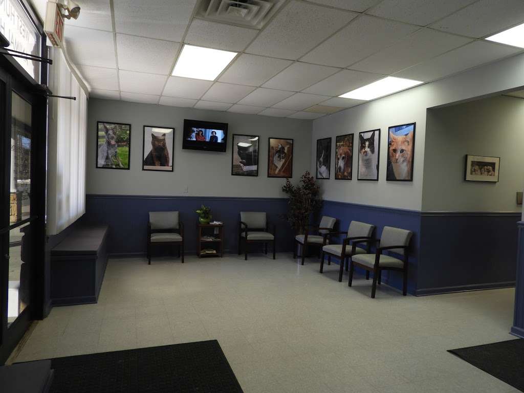 West Hunterdon Animal Hospital | 631 NJ-12, Flemington, NJ 08822, USA | Phone: (908) 788-4001