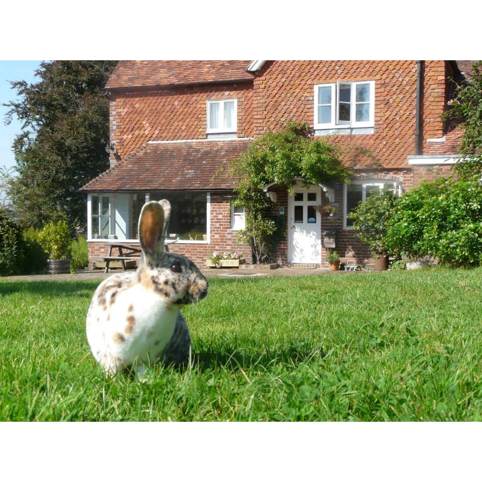 Manor Court Farm | Ashurst Road, Royal Tunbridge Wells, Ashurst TN3 9TB, UK | Phone: 01892 740279