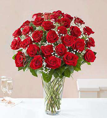 Global Roses Inc | 1501 W Farms Rd, The Bronx, NY 10460, USA | Phone: (917) 259-7555