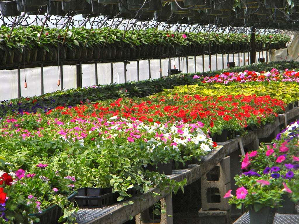 Dargoonian Farms | 23 Blanchard St, Andover, MA 01810, USA | Phone: (978) 475-1918