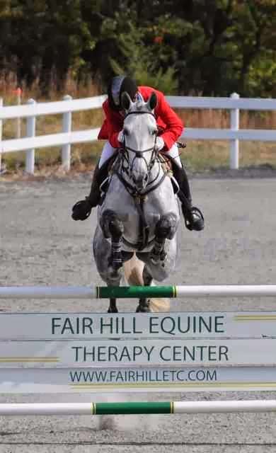 Equine Veterinary Care | Fair Hill Training Center Drive 288, Training Center Dr, Elkton, MD 21921, USA | Phone: (410) 392-6646