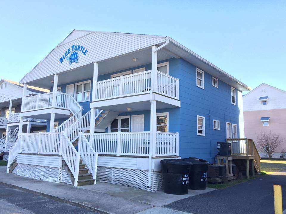 The Blue Turtle | 15 57th St, Ocean City, MD 21842, USA | Phone: (410) 449-0305