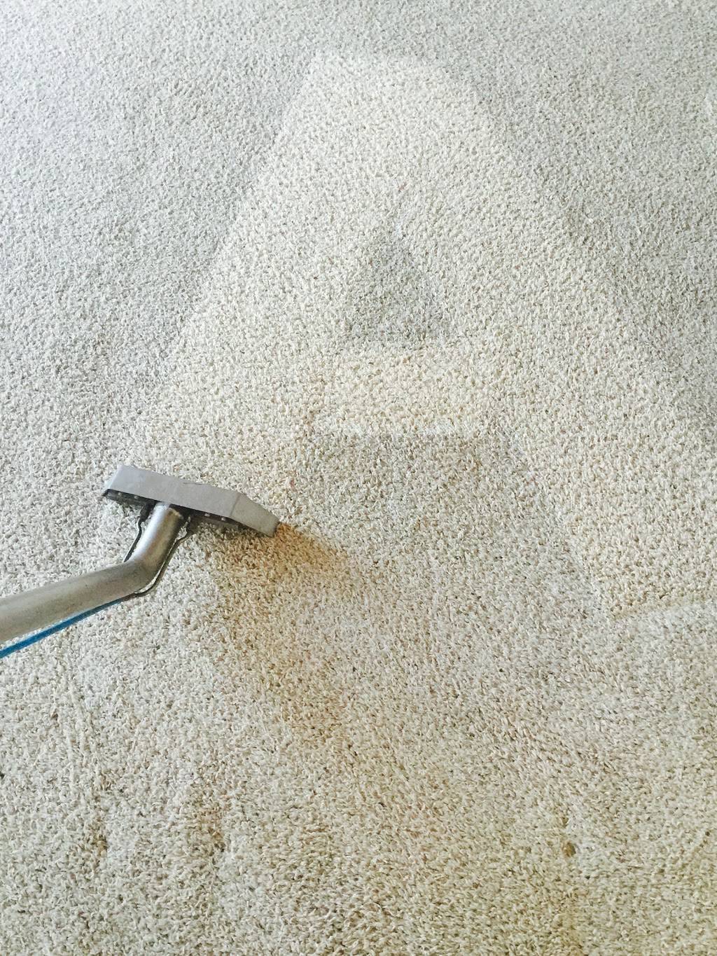 Blue Ribbon Carpet Cleaning | 650 Alabama Ave, Fountain, CO 80817, USA | Phone: (719) 382-5769